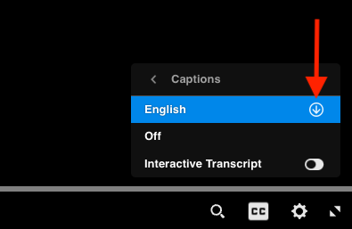 Closeup of caption options with arrow for download