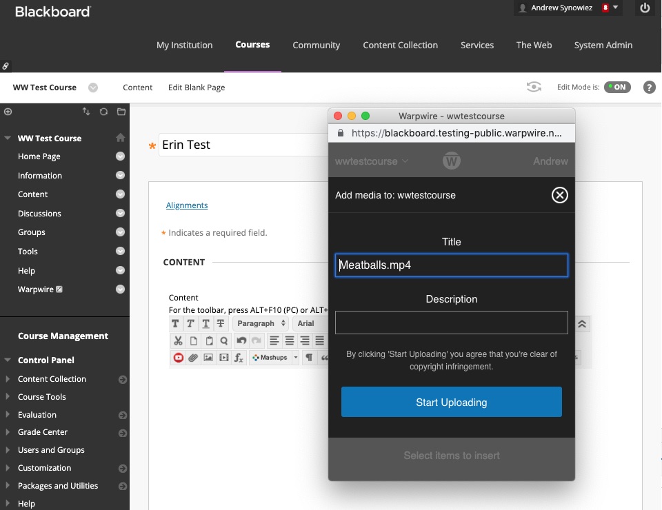 User input fields for upload, space for asset Title and Description