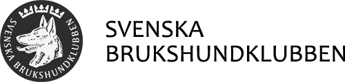 SBK logo