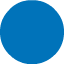 Blue circle icon