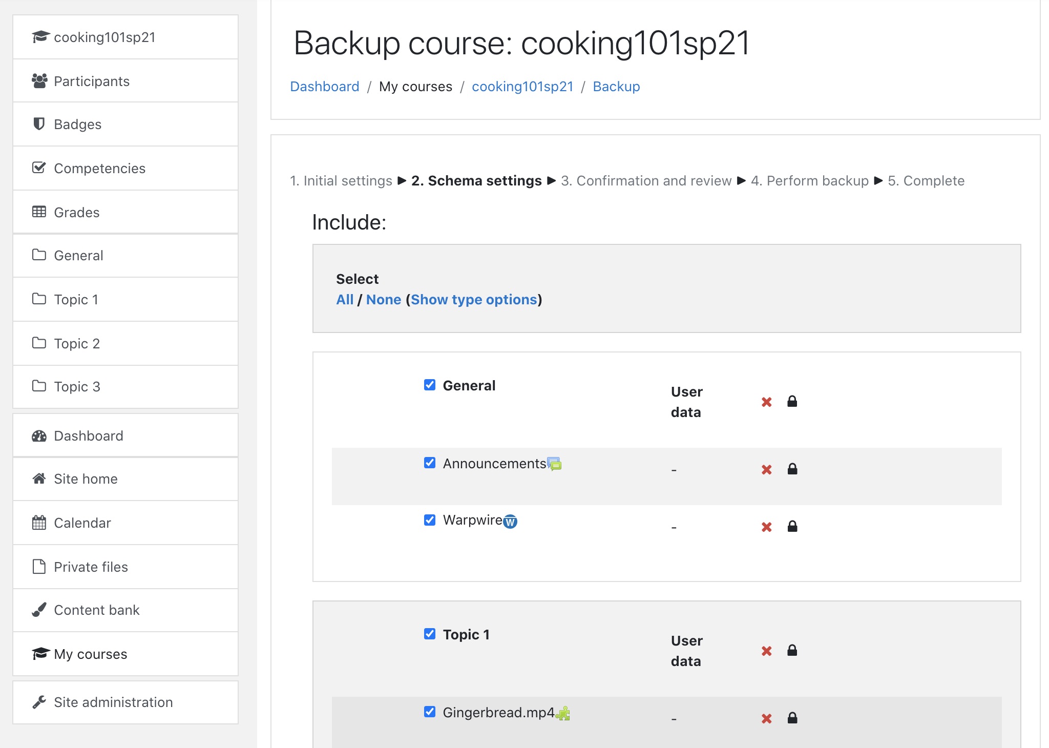 Moodle course backup page: schema settings