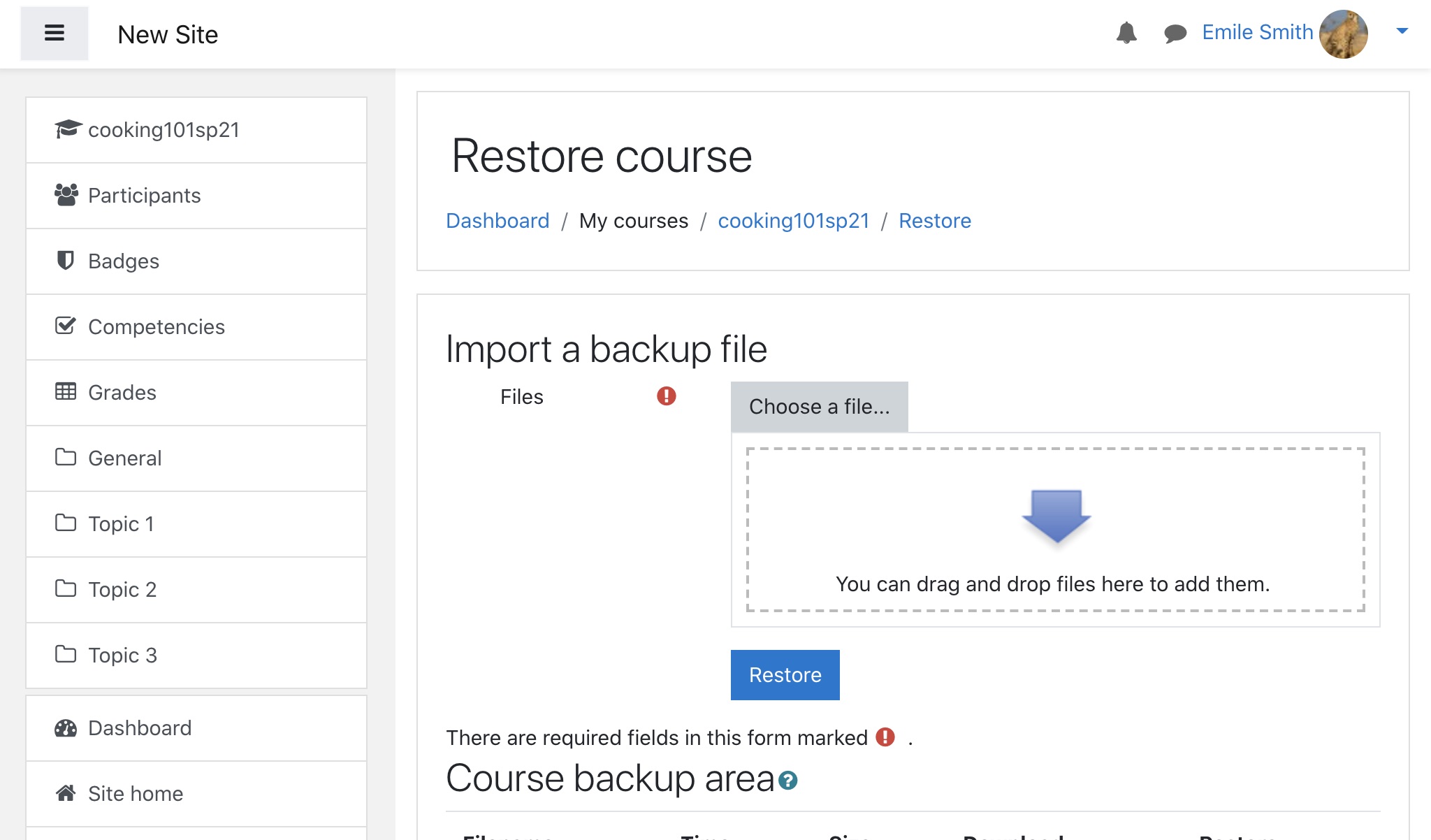 Moodle course backup page: backup complete