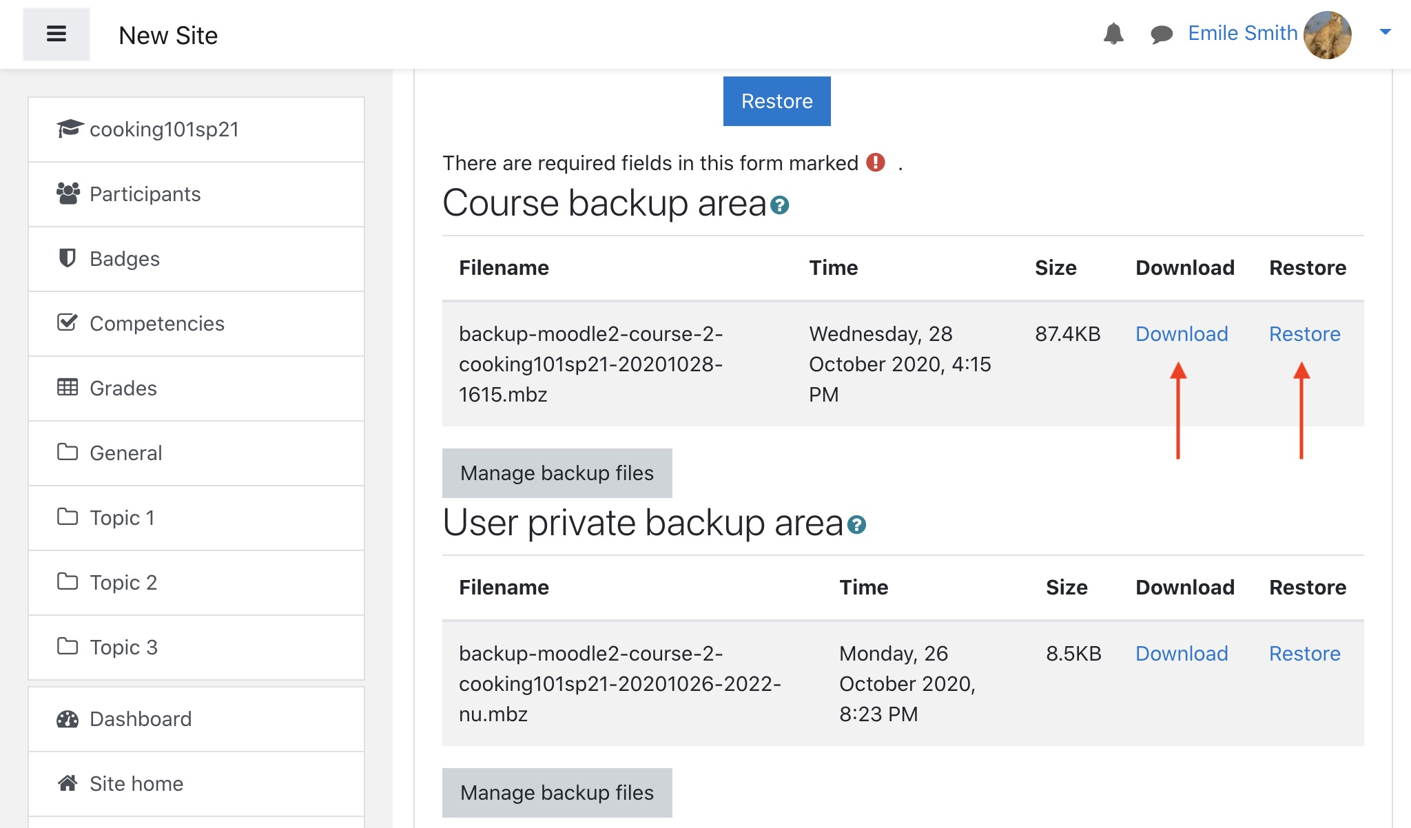 Moodle course restoration page: review details