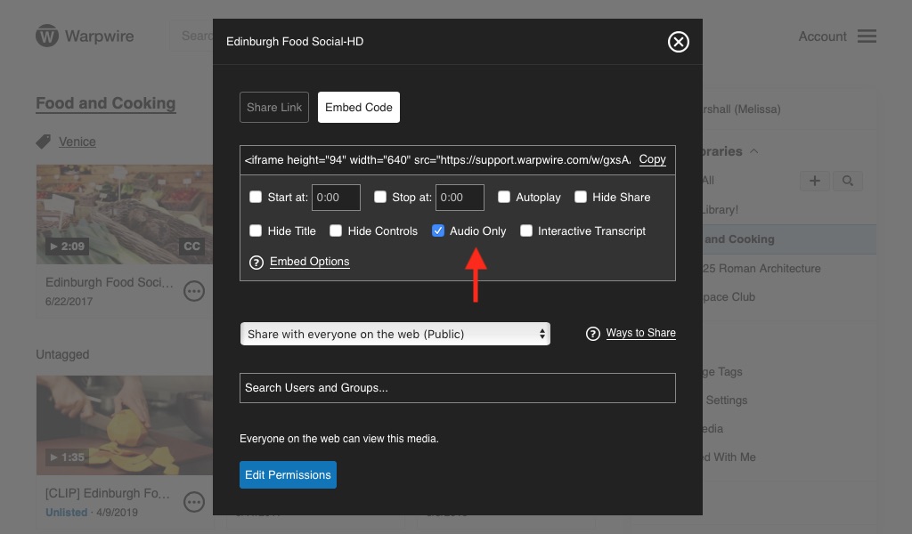 Custom embed options for an asset, with 'Audio Only' selected