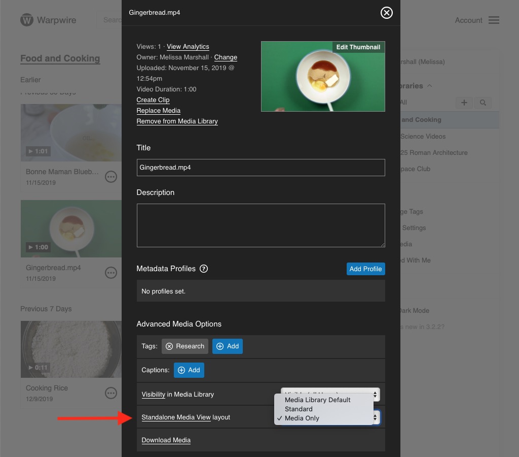 Asset view settings within the Media Library.