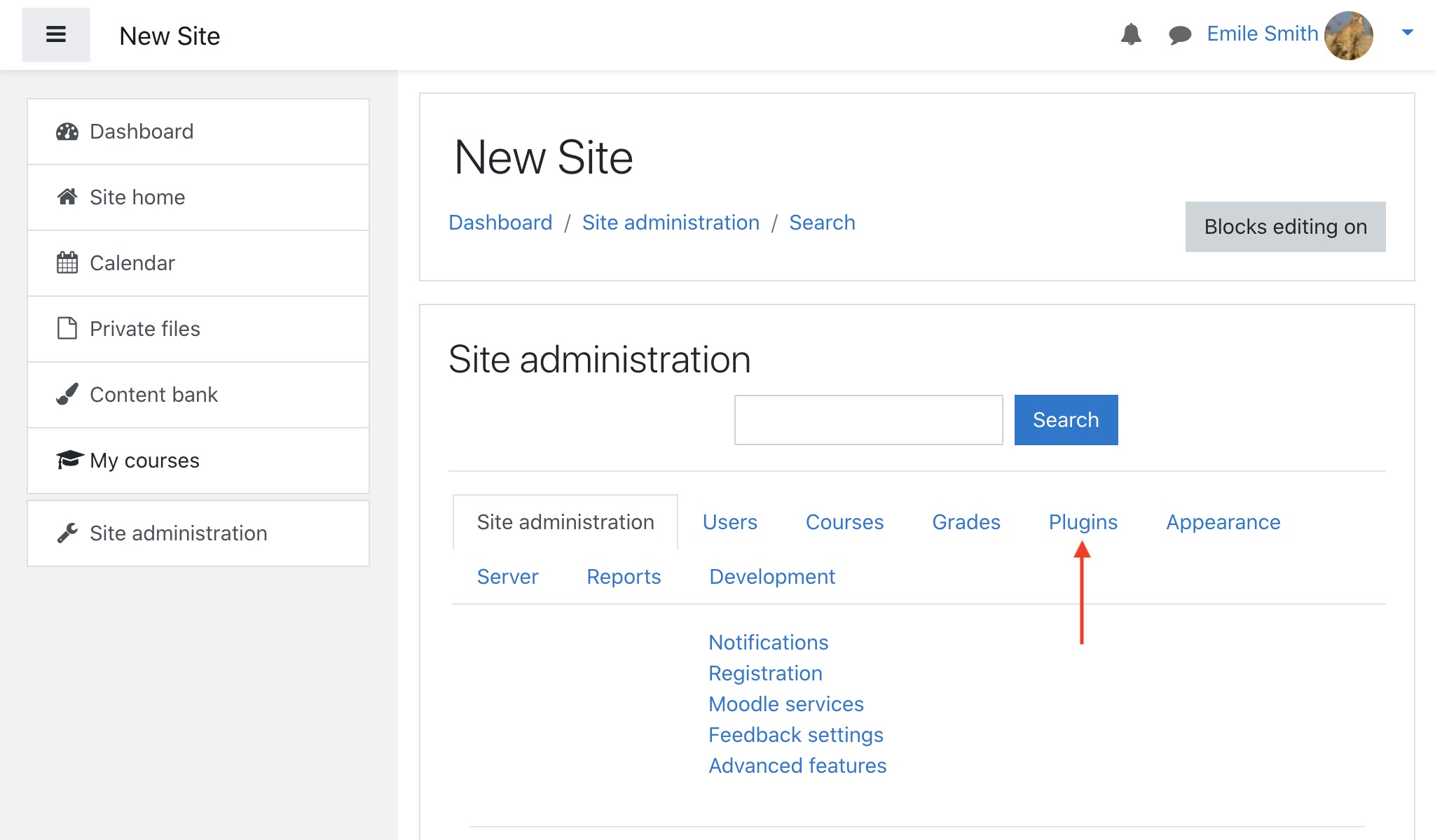 Click the Plugins tab to continue Gradebook setup in Moodle.