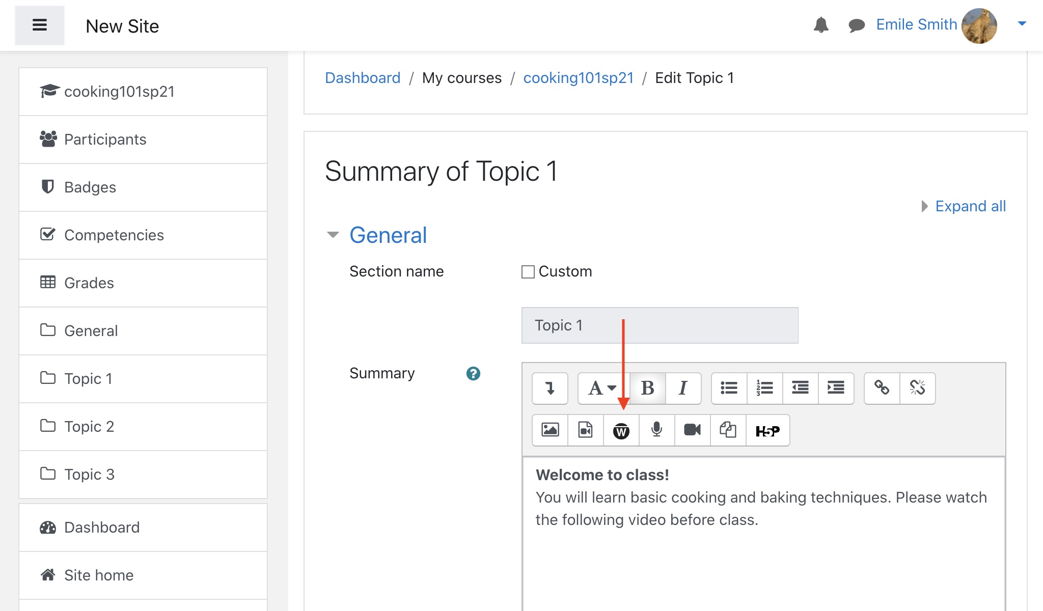 Moodle forum post, text editor page