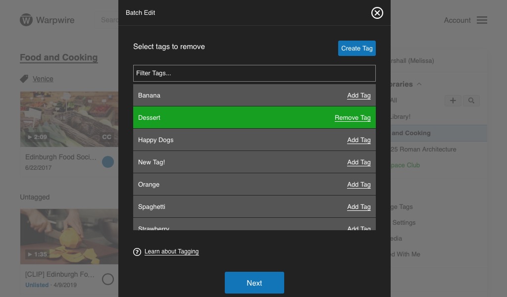 Panel showing the searchable list of tags